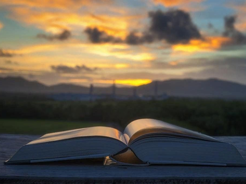 Supporting Children Who Daydream: Hidden Creativity or Learning Gap?